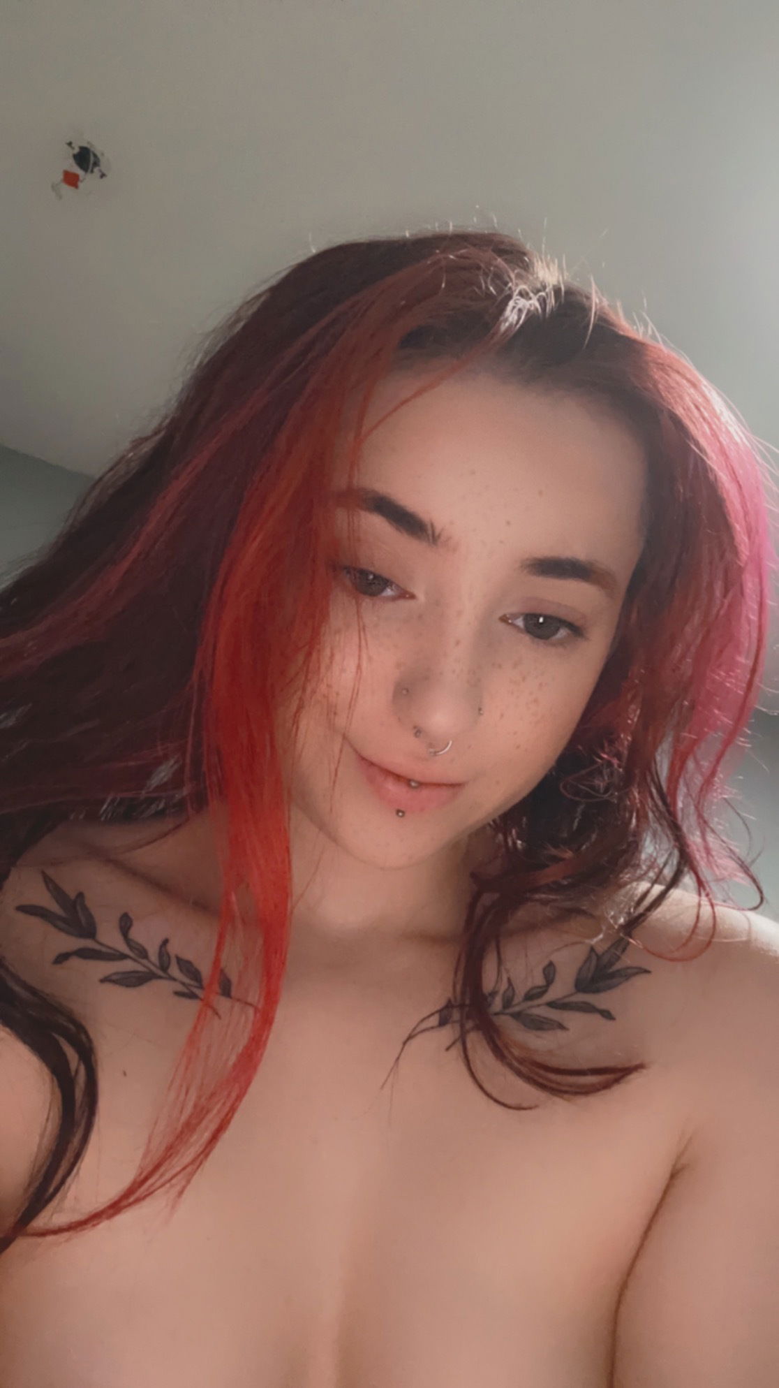 Chloe P.'s avatar