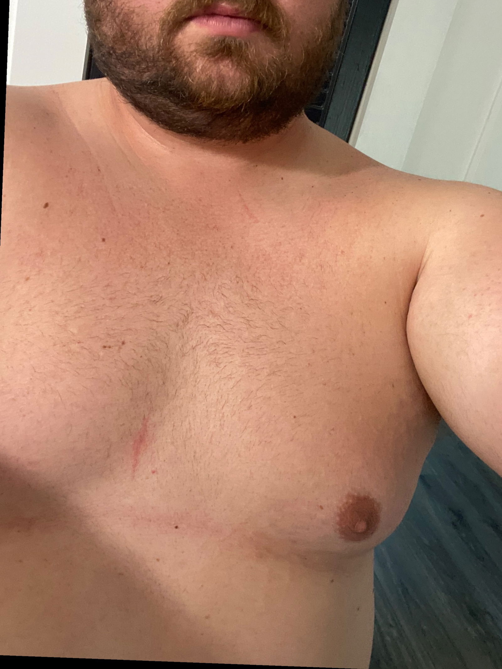 Chubby daddy's avatar