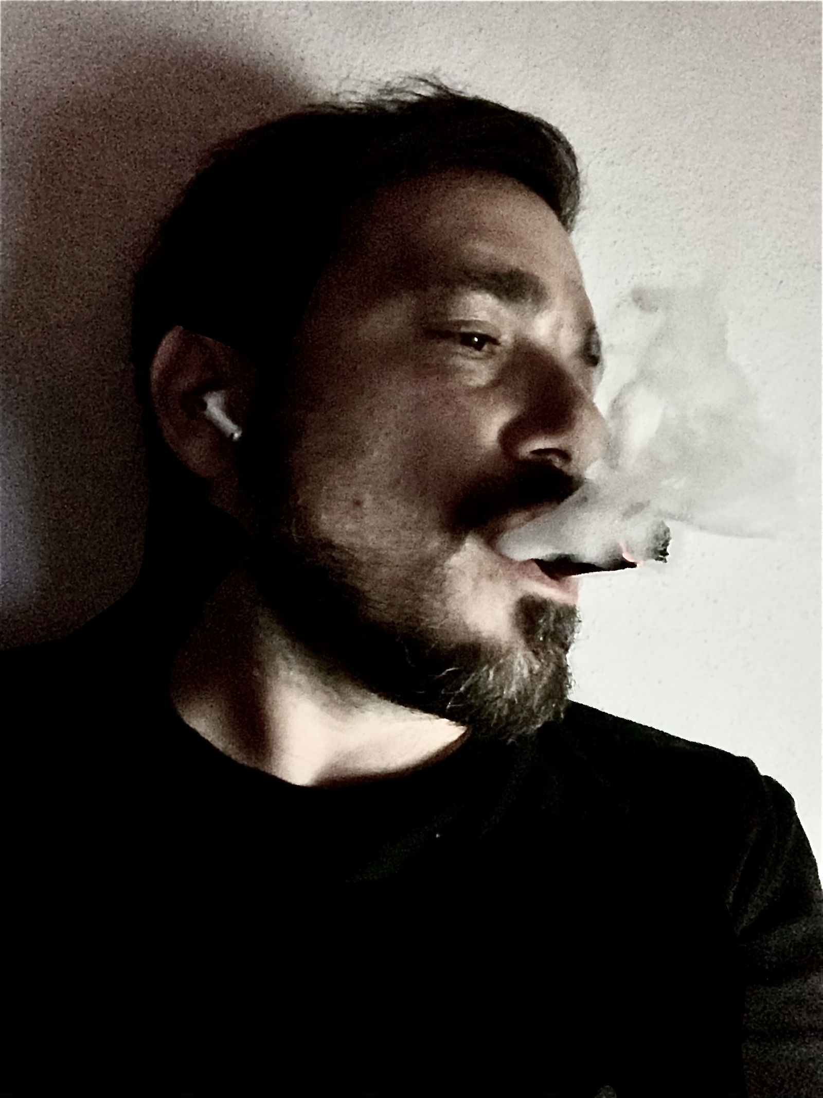 Cigar NY
