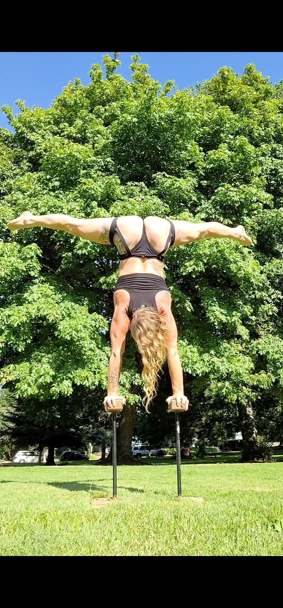 Cirque De licious's avatar