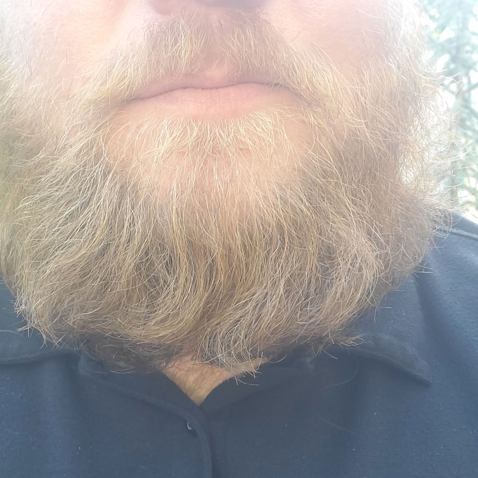 Dad-bod Daddy w/Class's avatar