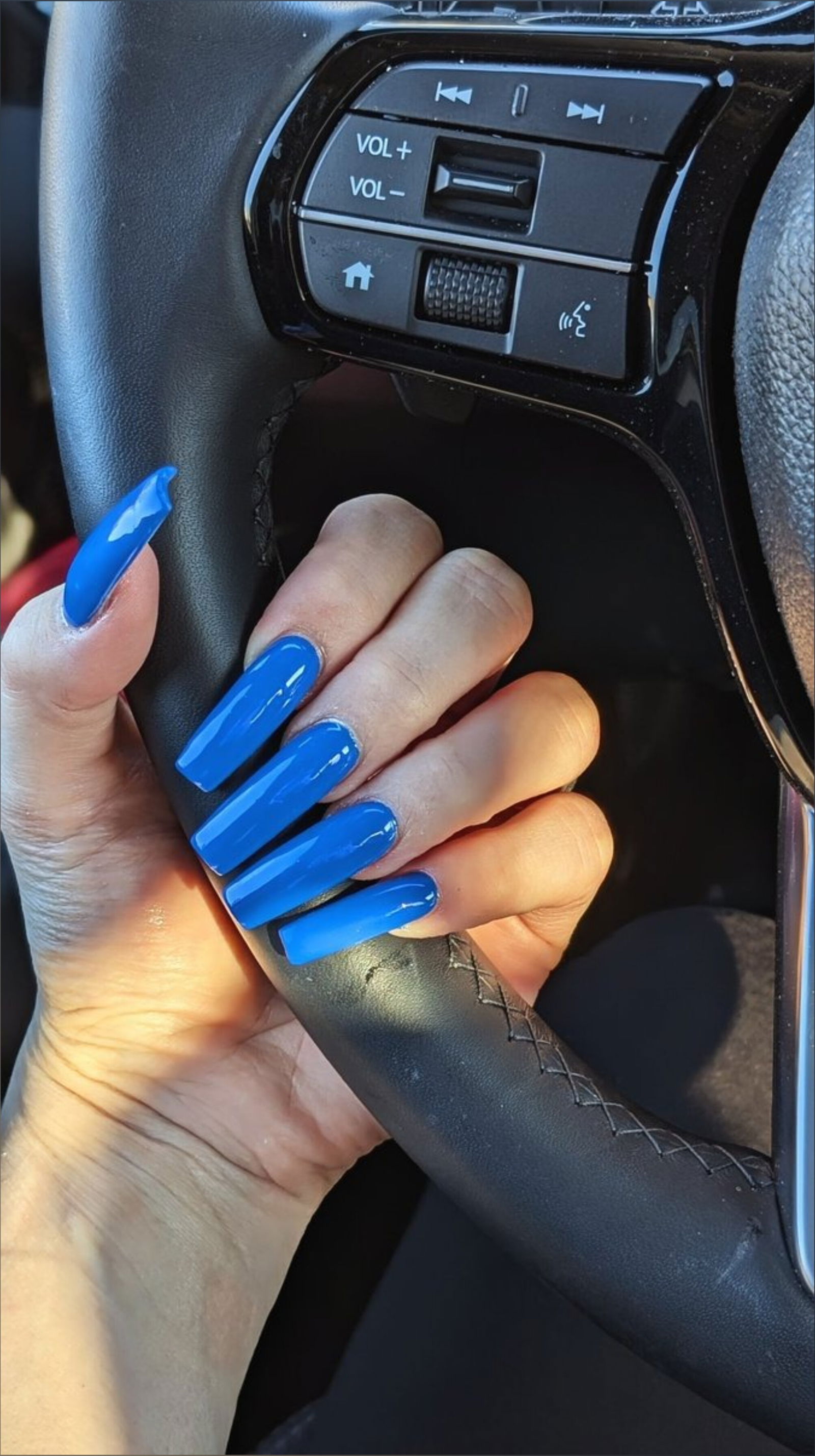 Claw Queen's avatar