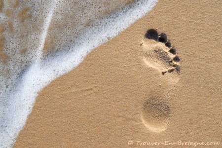 C'est le pied's avatar
