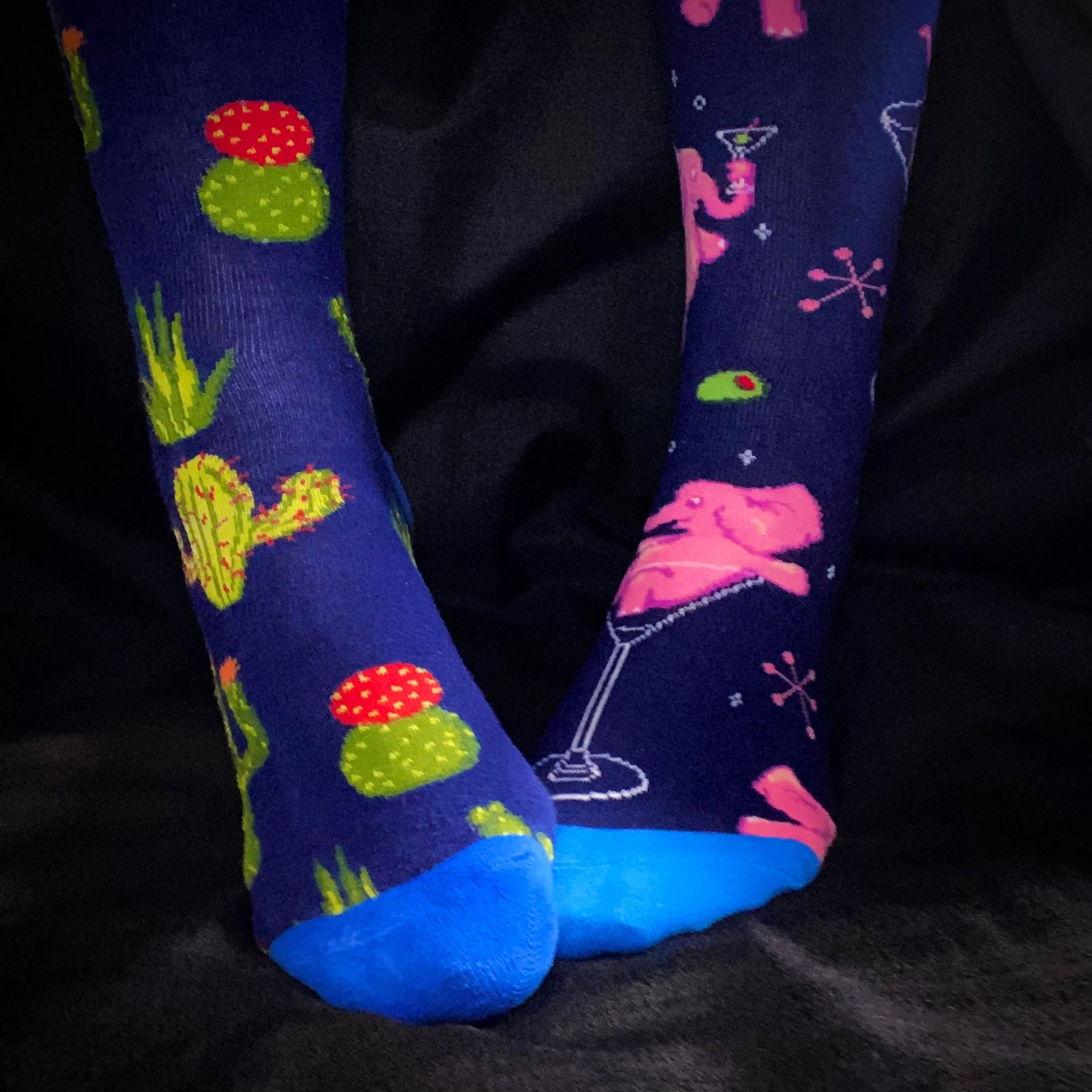 Collie Socks's avatar