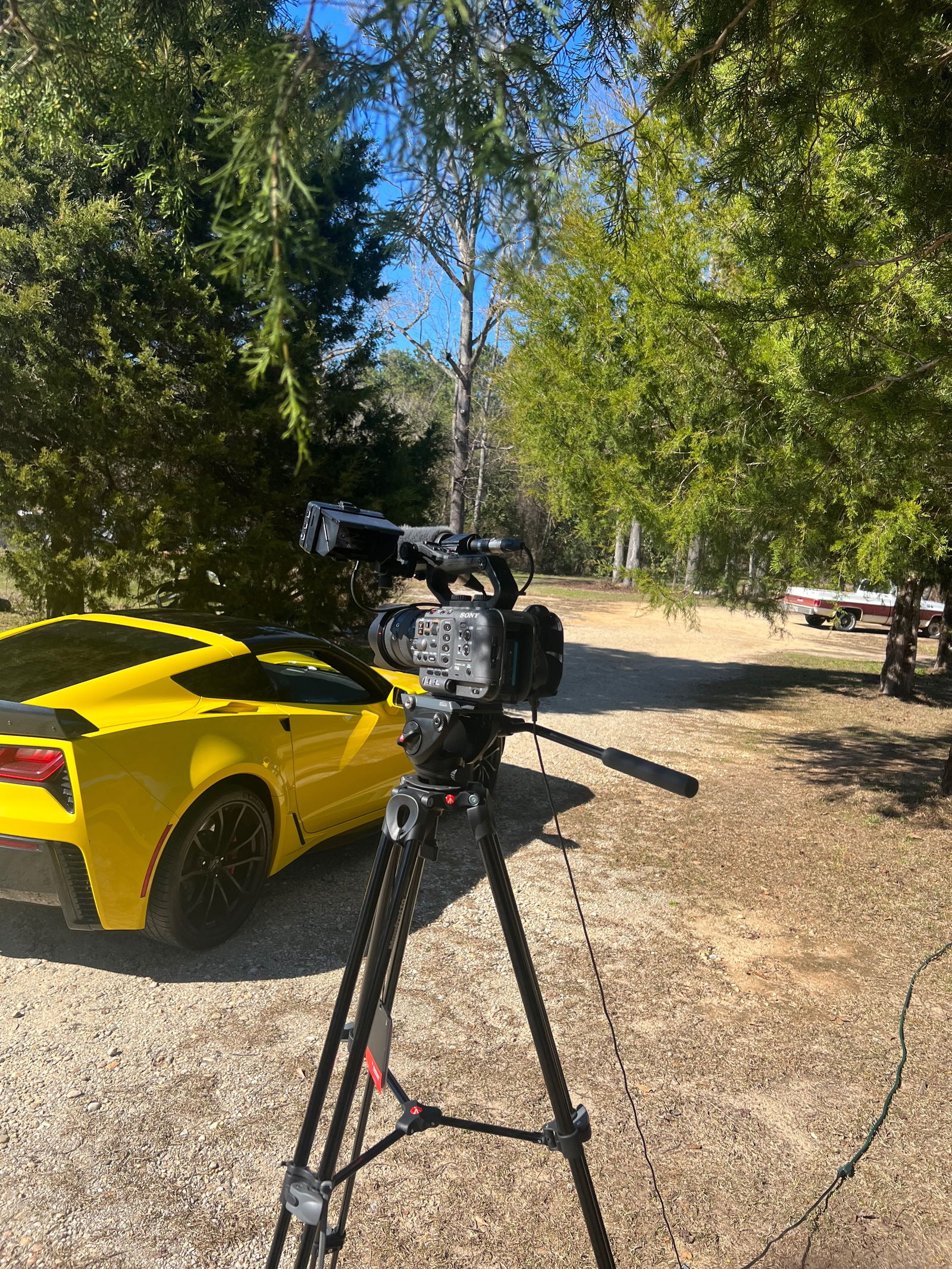 Corvette Tee's avatar