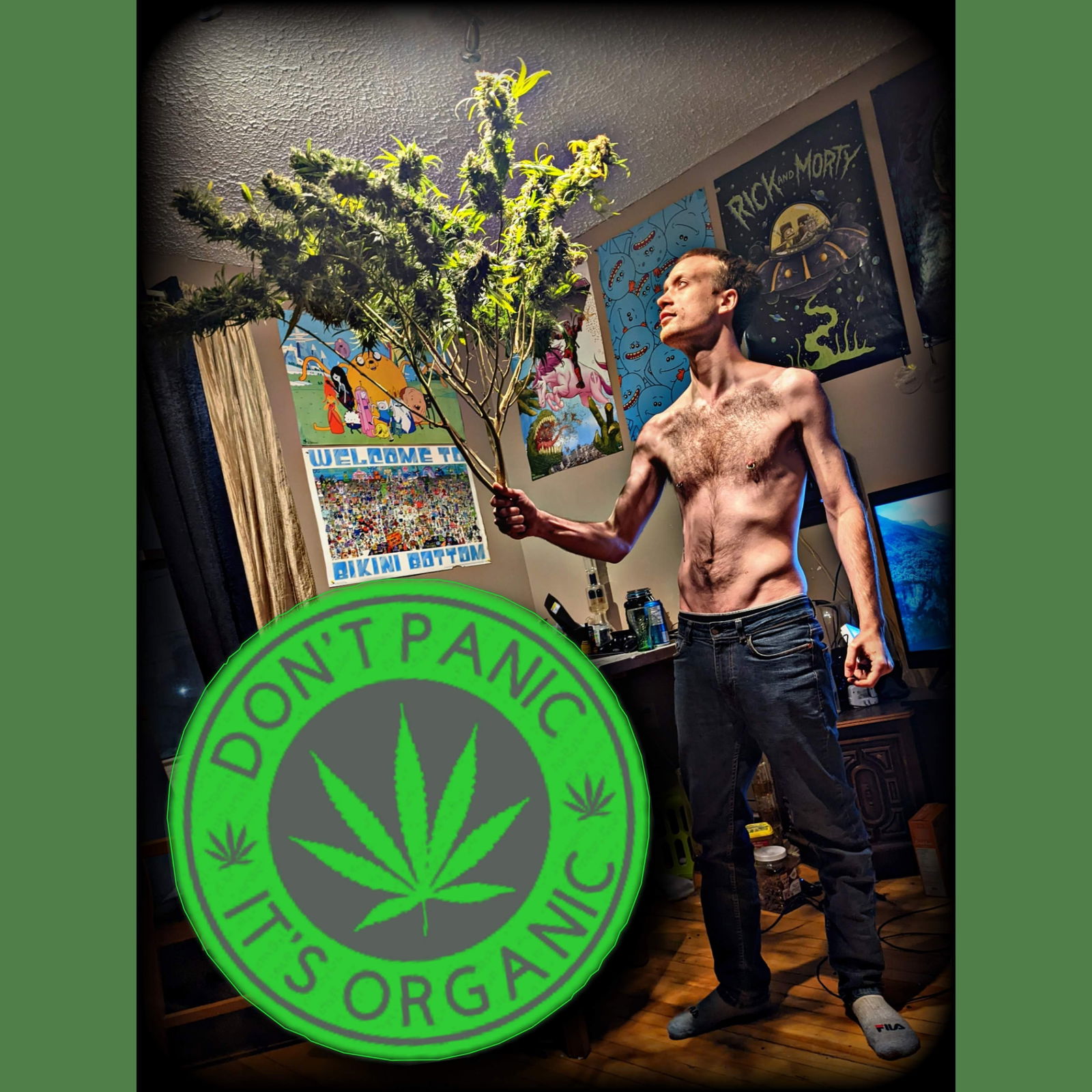 cosmichippie's avatar