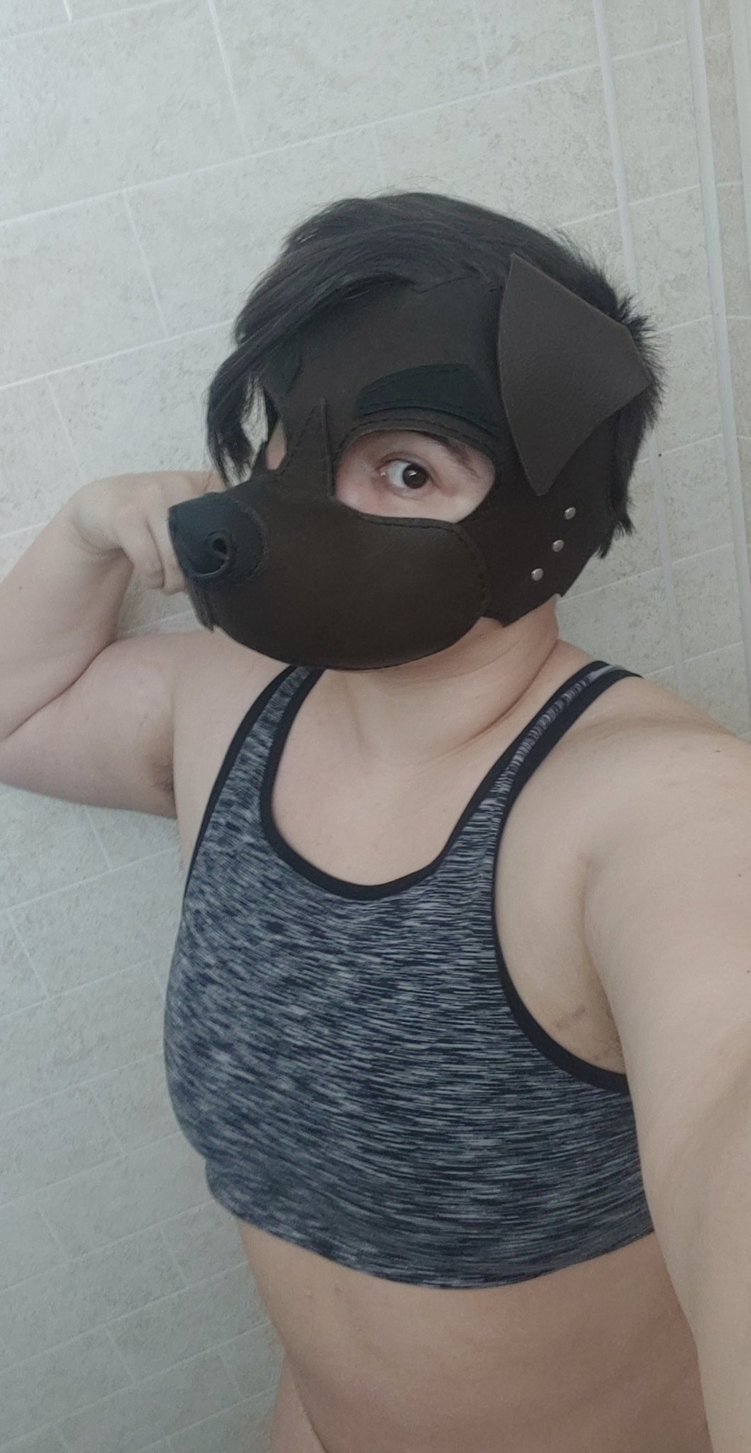 Some times a dog's avatar