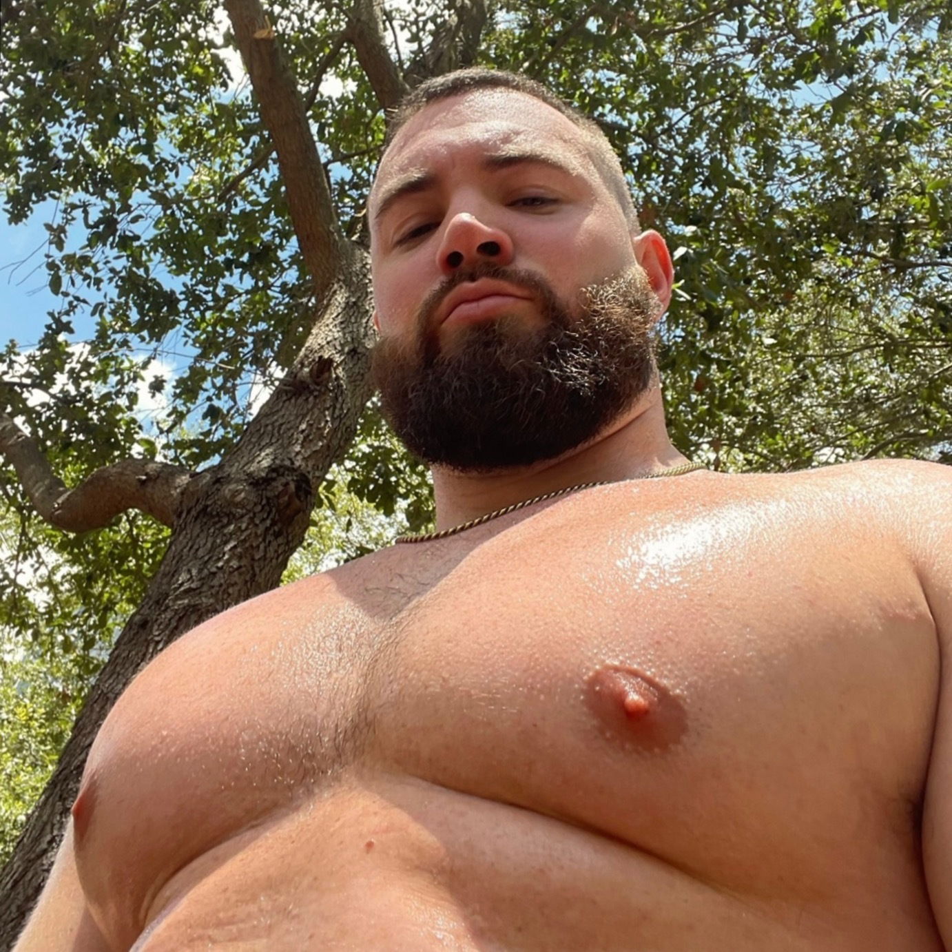 Andrew Couture's avatar