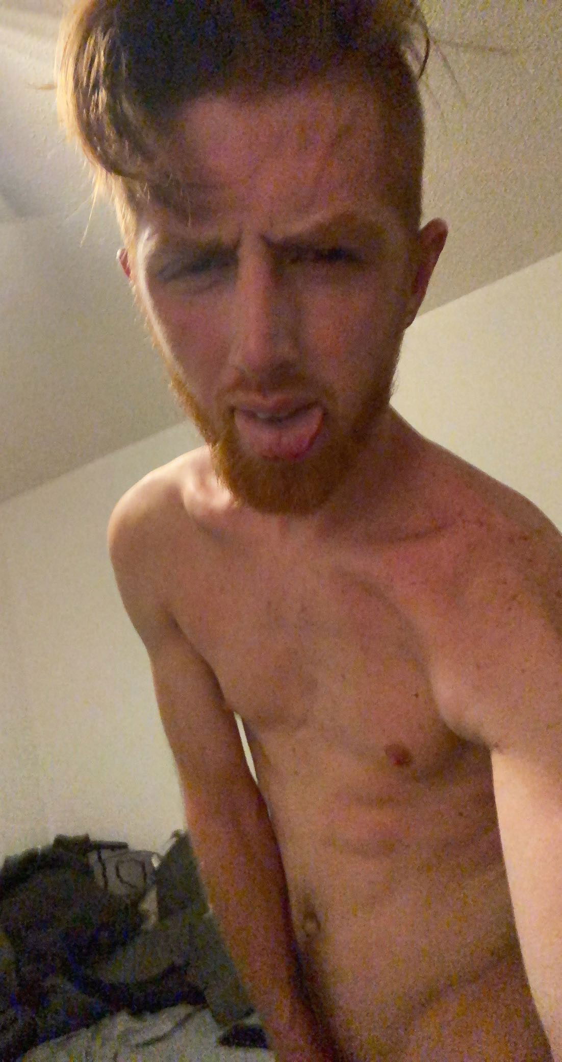 That Ginger's avatar
