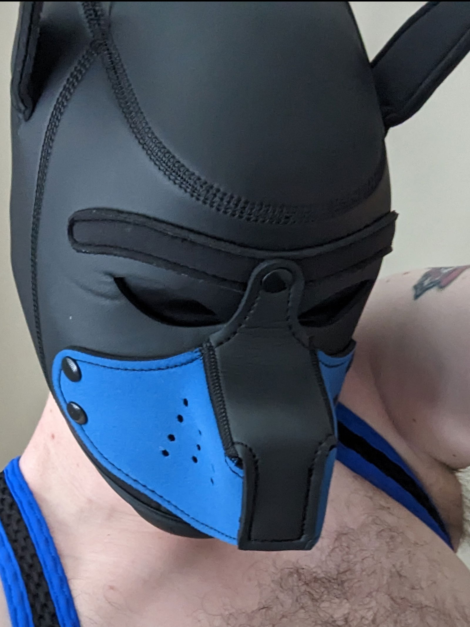 Blue Boy's avatar