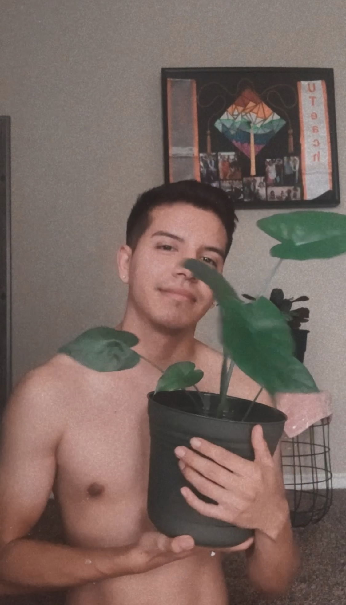 Jose V's avatar