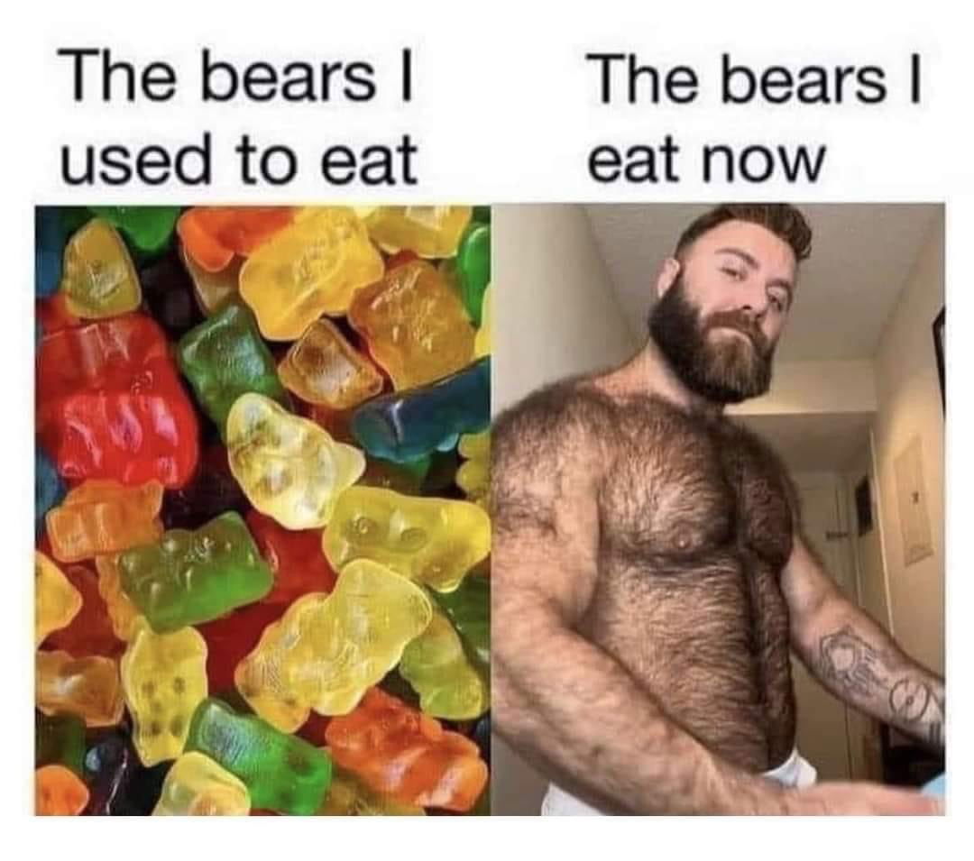 bearlovergaymer