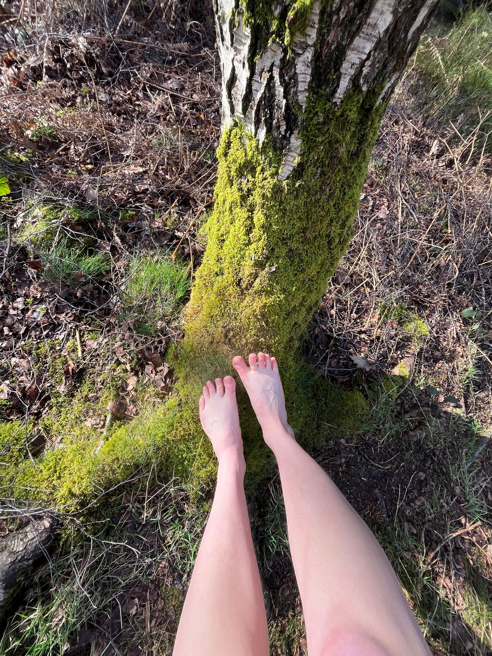 Cute feet's avatar