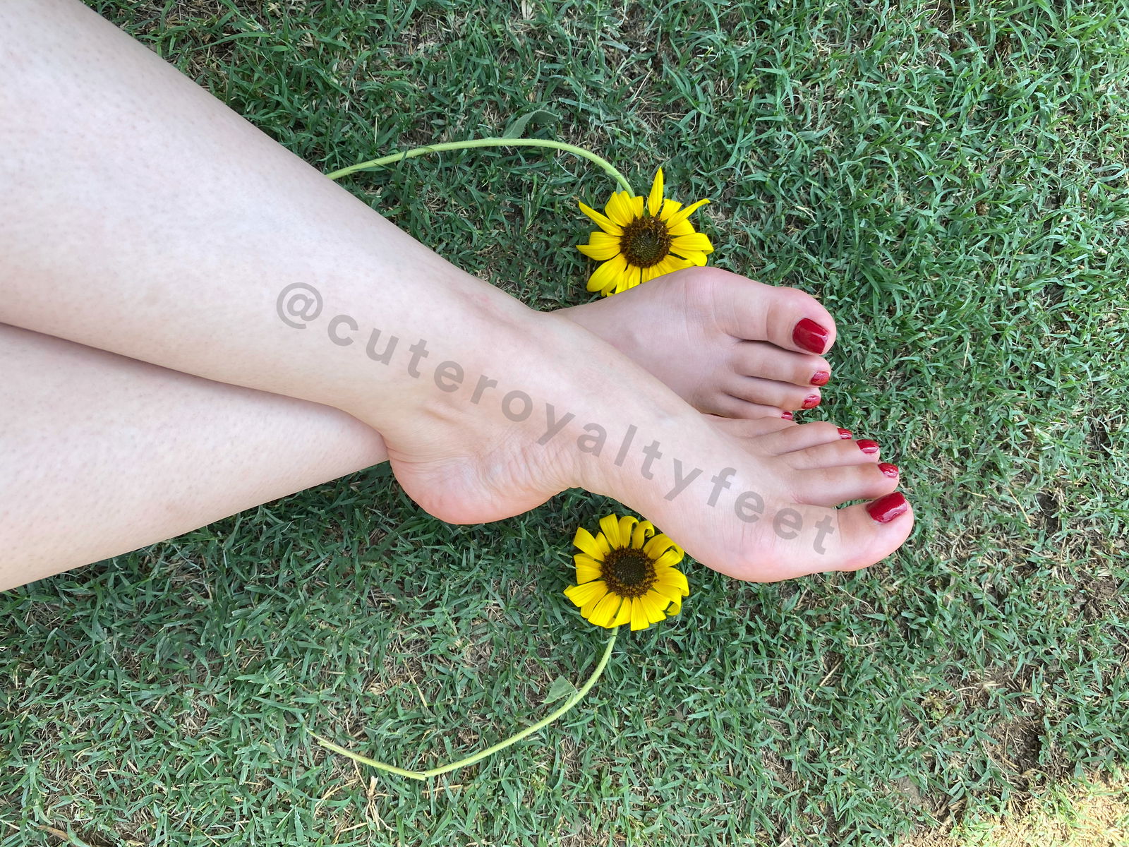 Cuteroyaltyfeet's avatar
