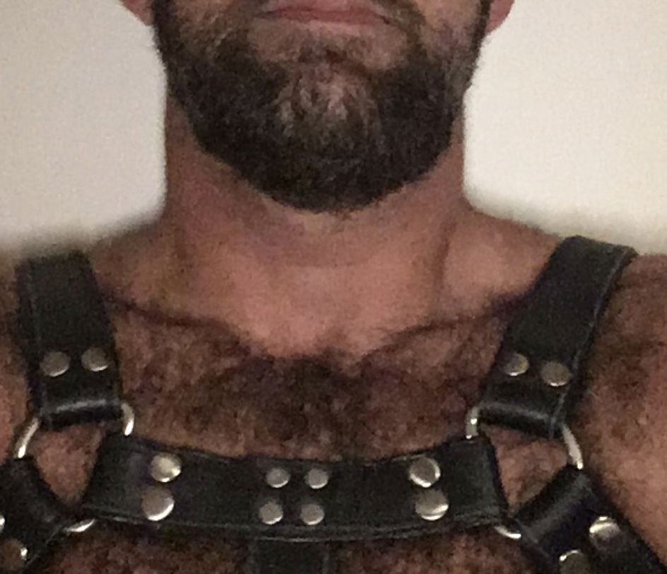 G wilkin's avatar