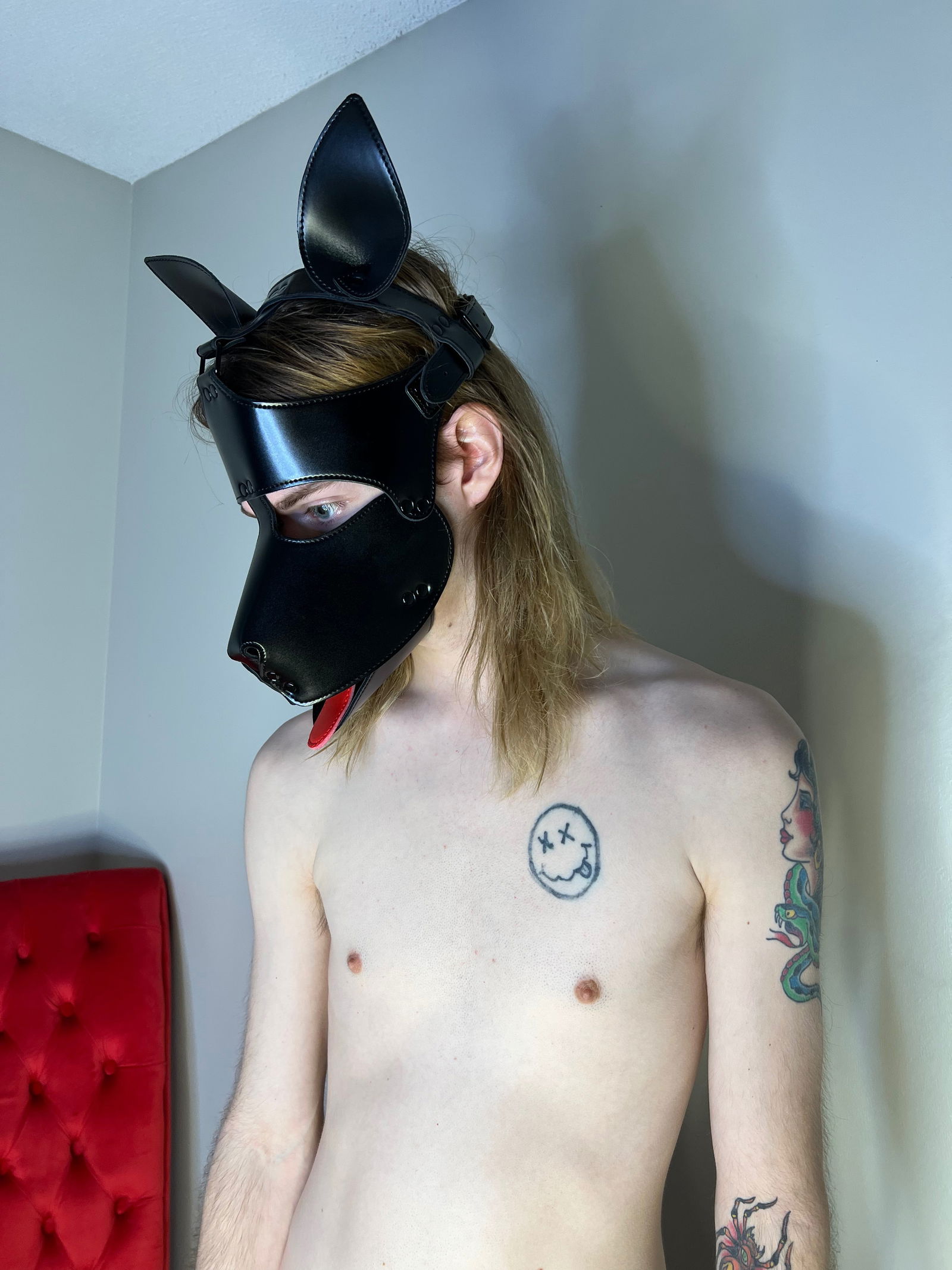 Dakota's avatar