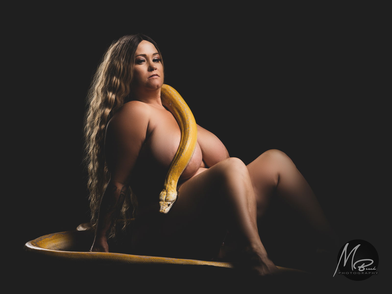 Danica vixen's avatar