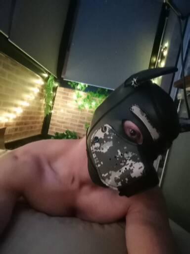 Darko's avatar