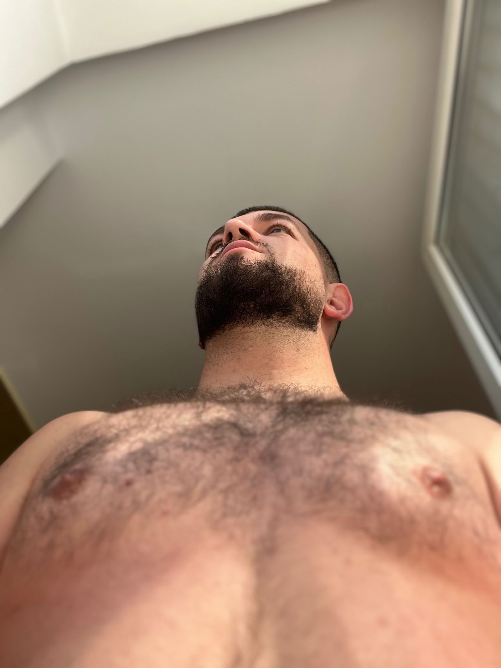 David Dani's avatar