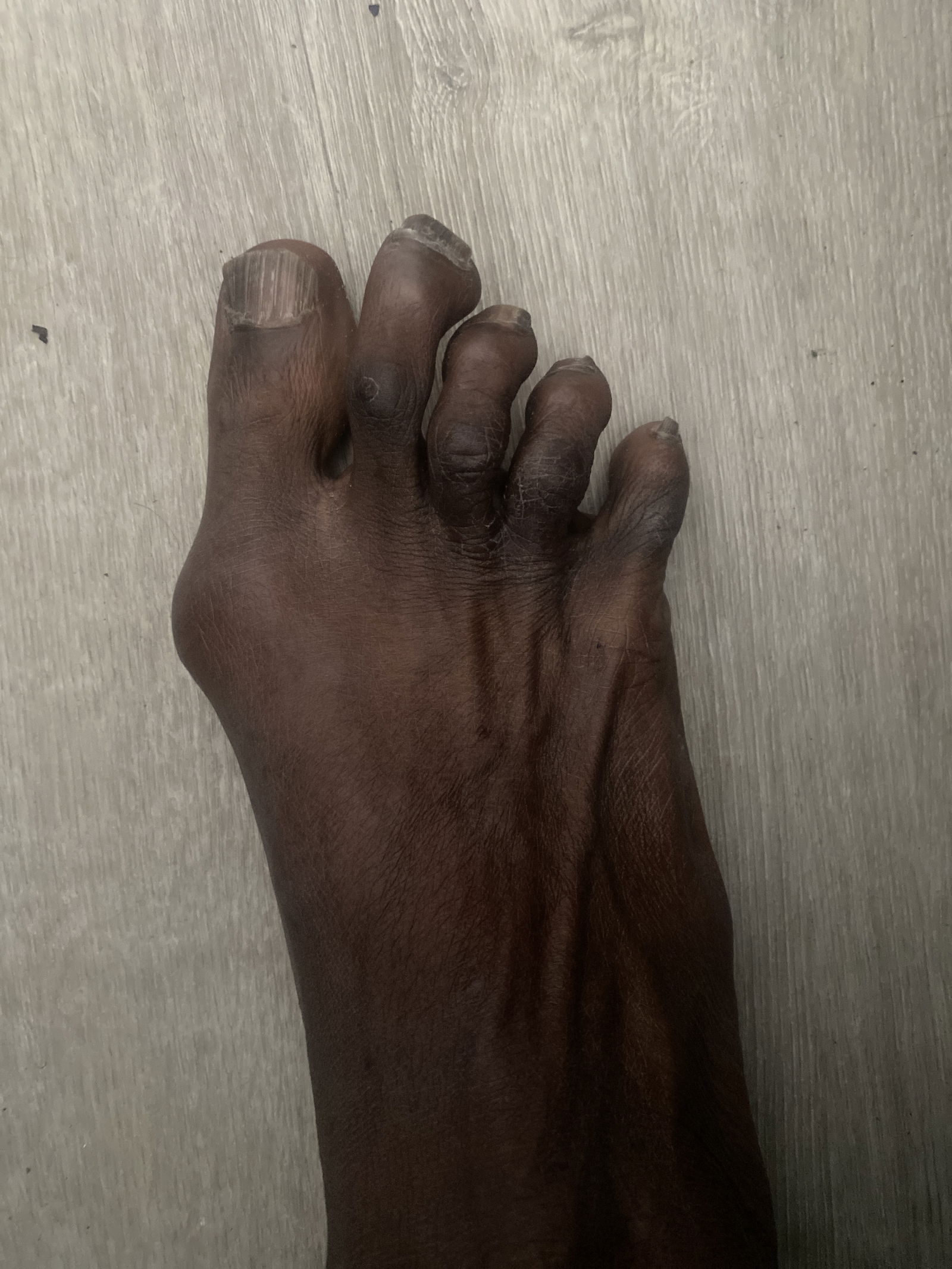 Dee Feet's avatar