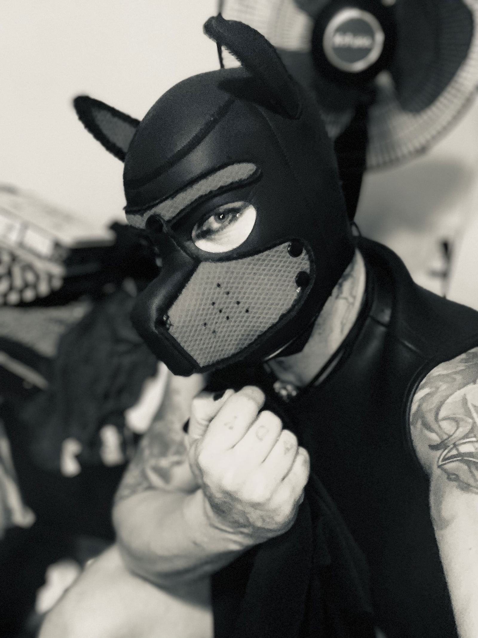 𝔇𝔢𝔩𝔰𝔦𝔫 𝔓𝔦𝔰𝔱𝔬𝔫𝔰's avatar