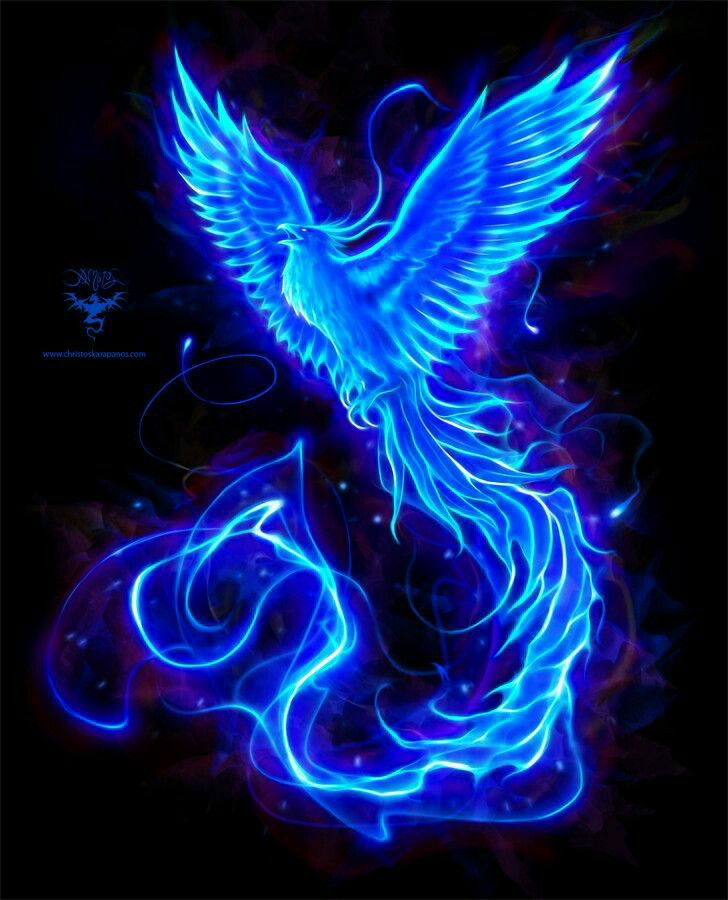 Phoenix's avatar