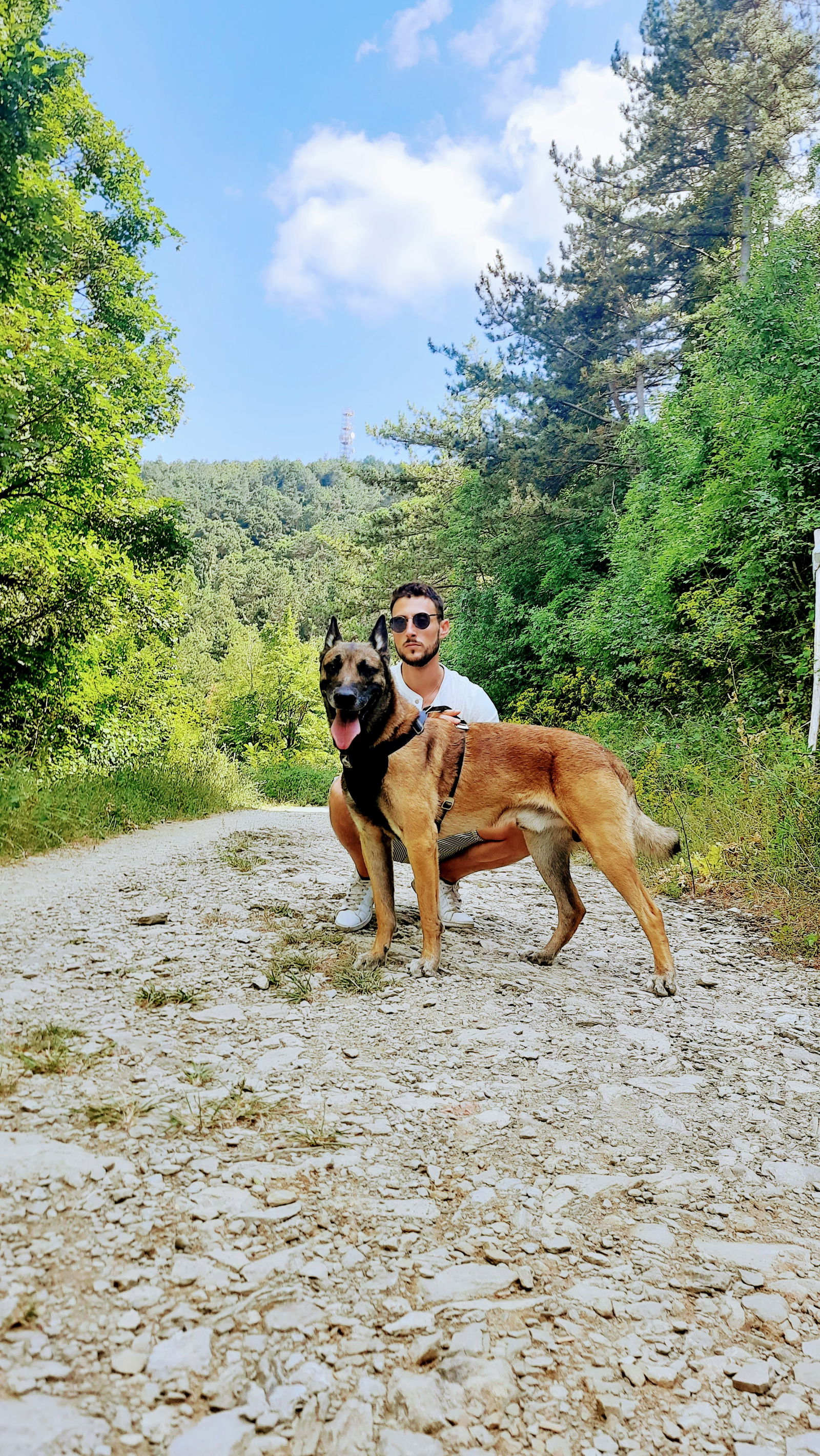 GB Dog Trainer's avatar