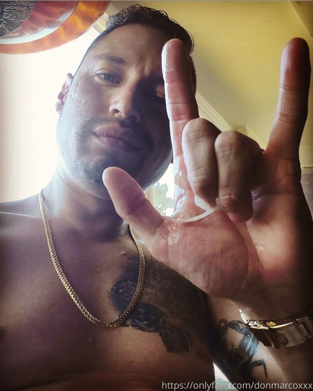 DonMarcóXXX's avatar