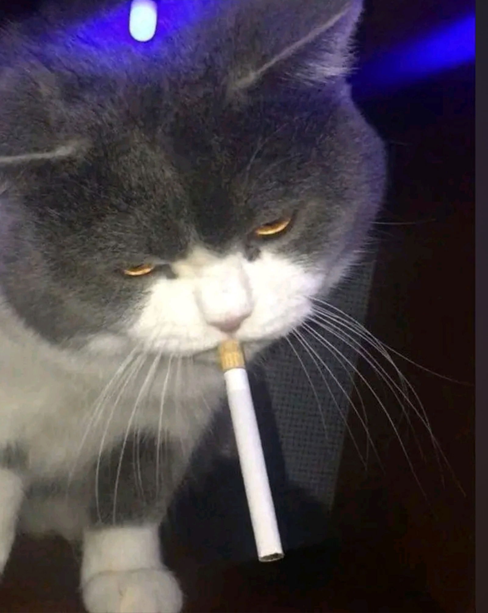 Miirzaaa's avatar