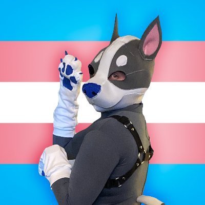 DonutPupper's avatar
