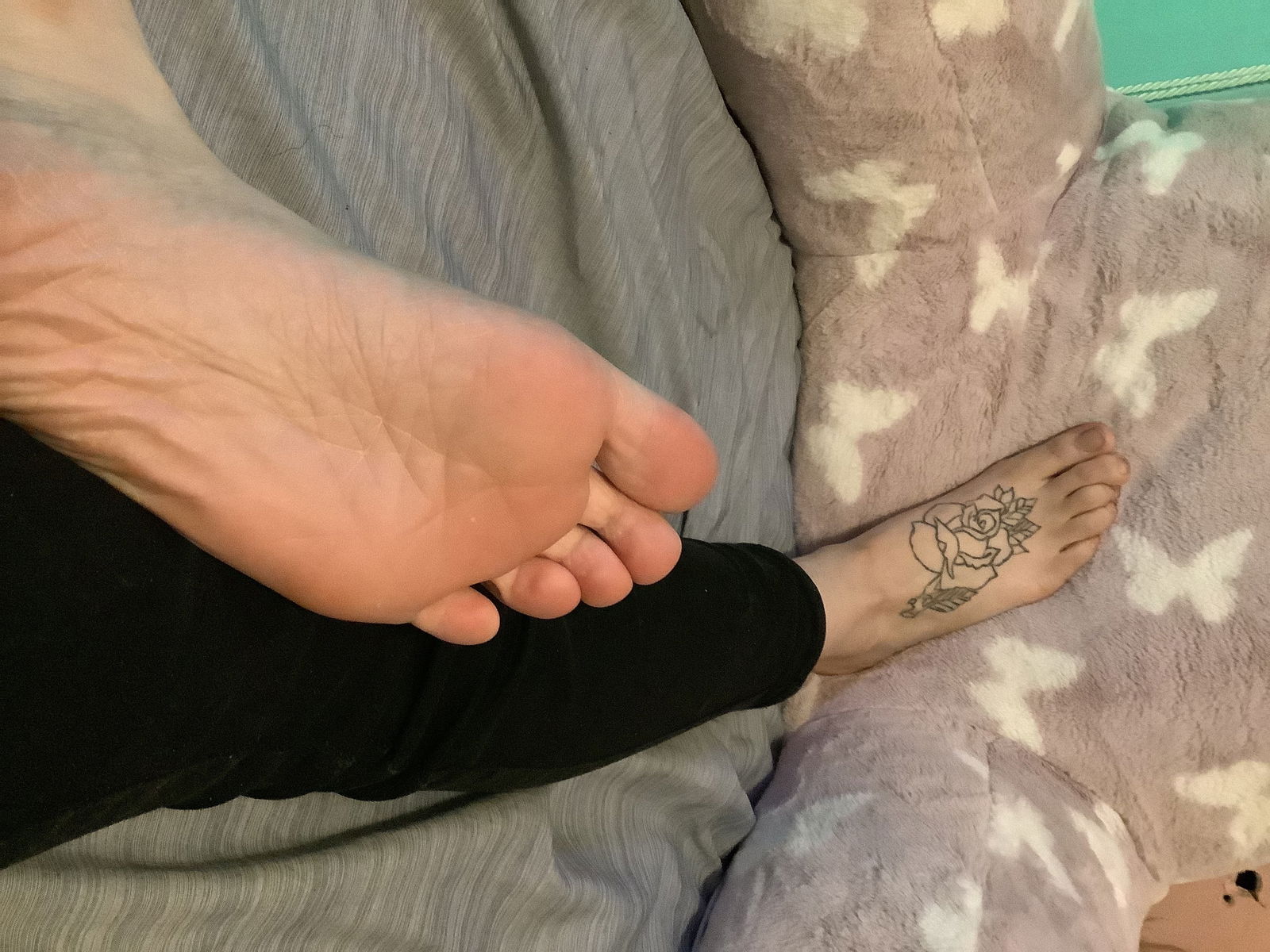 Dreamy kitten's avatar