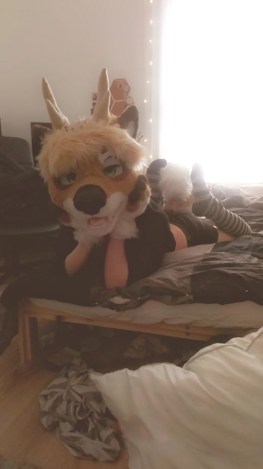 Dakky