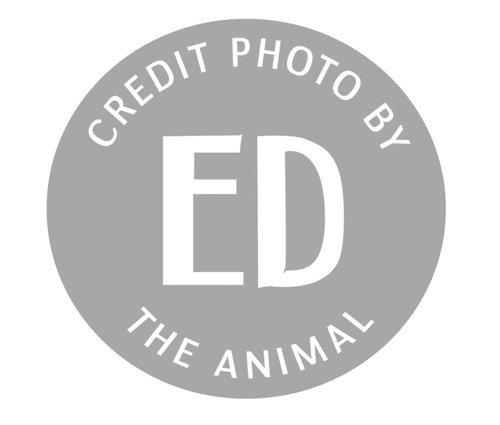 Ed The Animal's avatar
