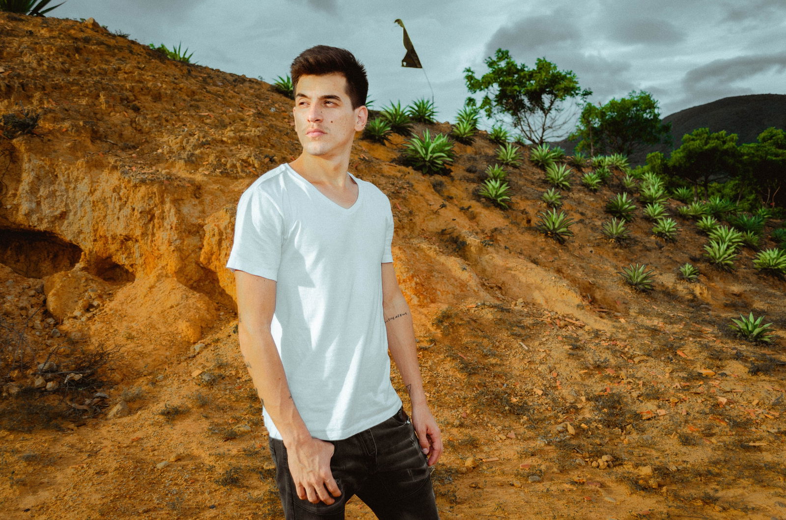 EDUARDO PATIÑO's avatar