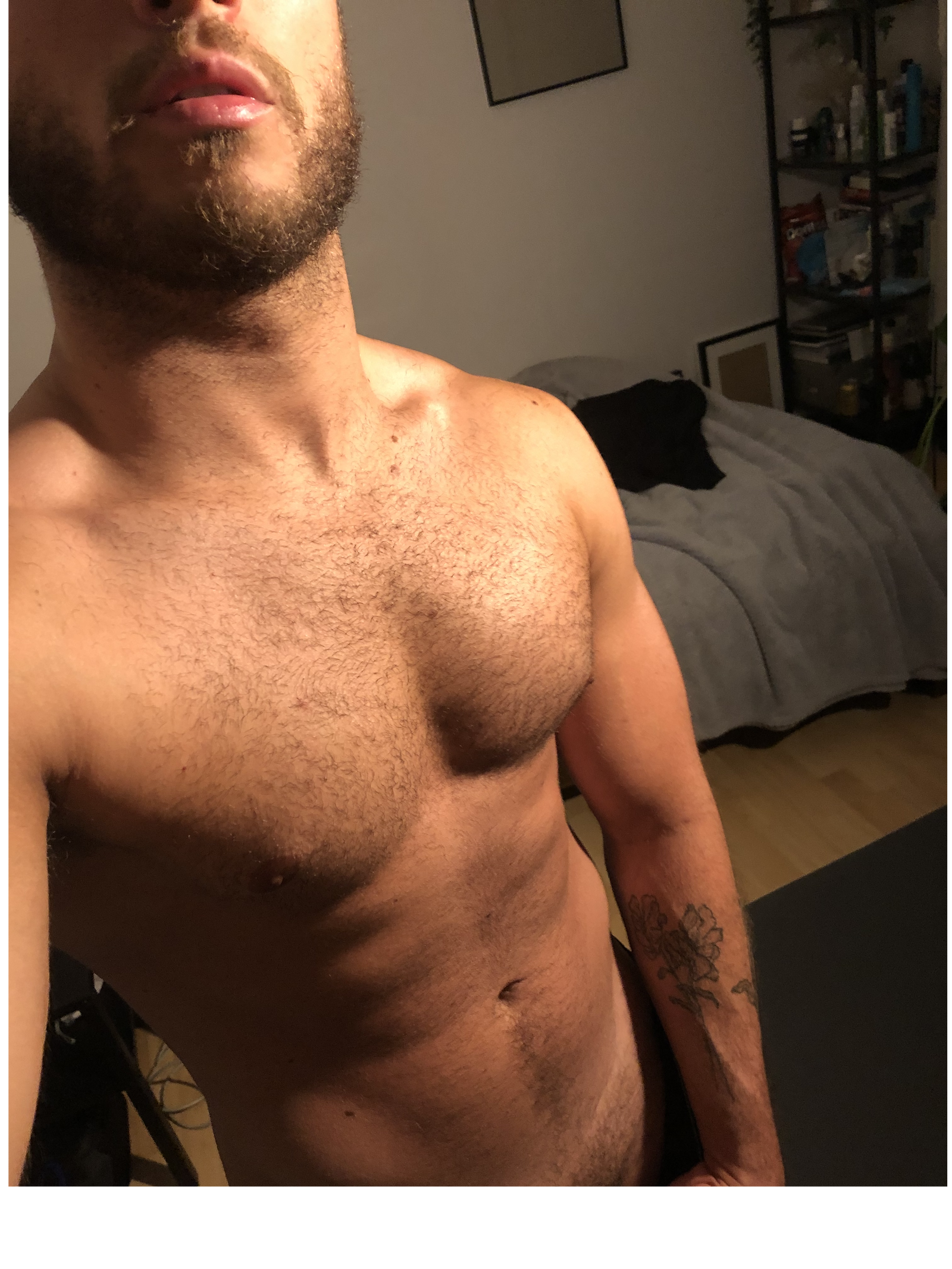 Eli Tahan's avatar