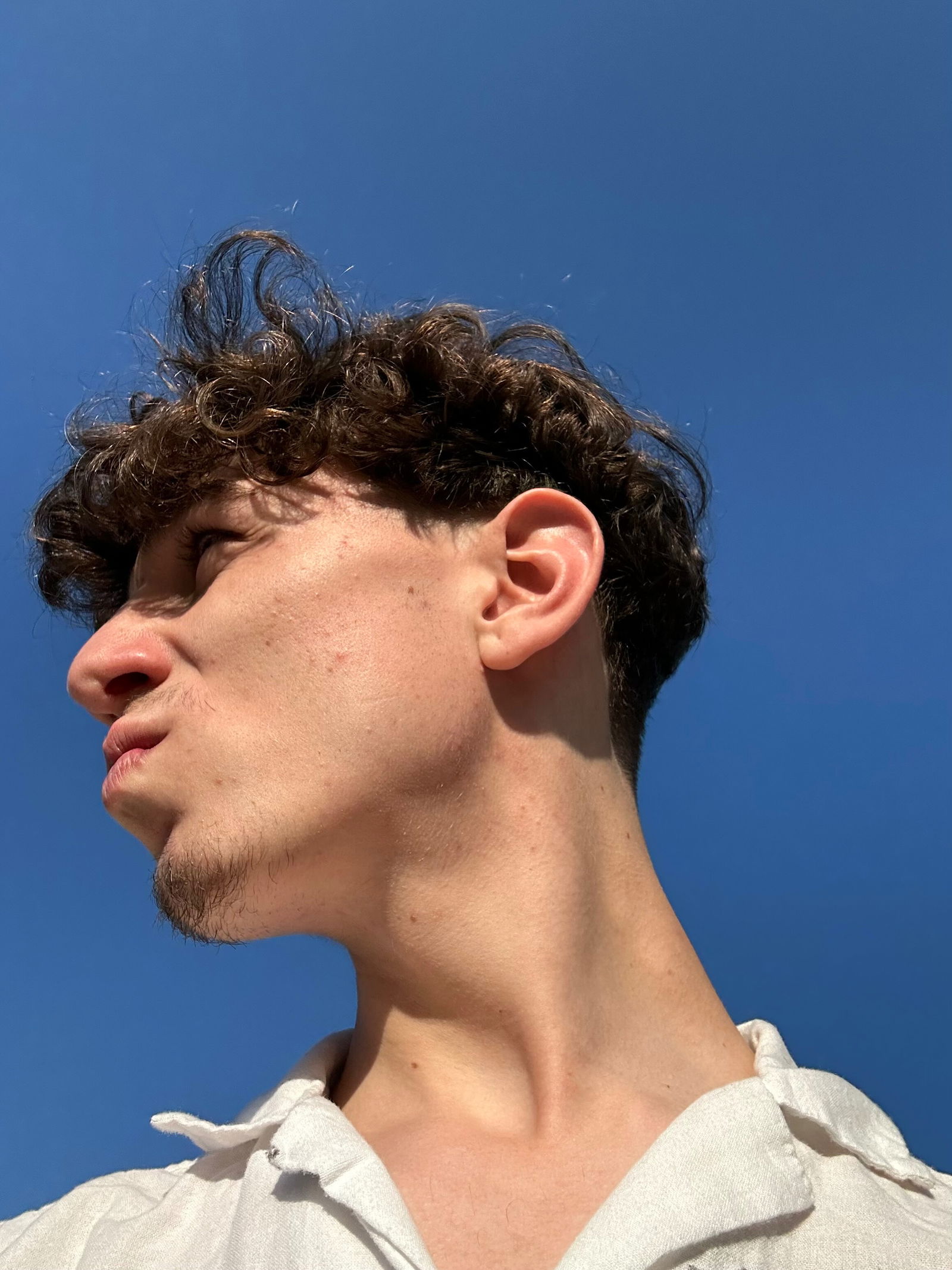Enzo 🇫🇷's avatar