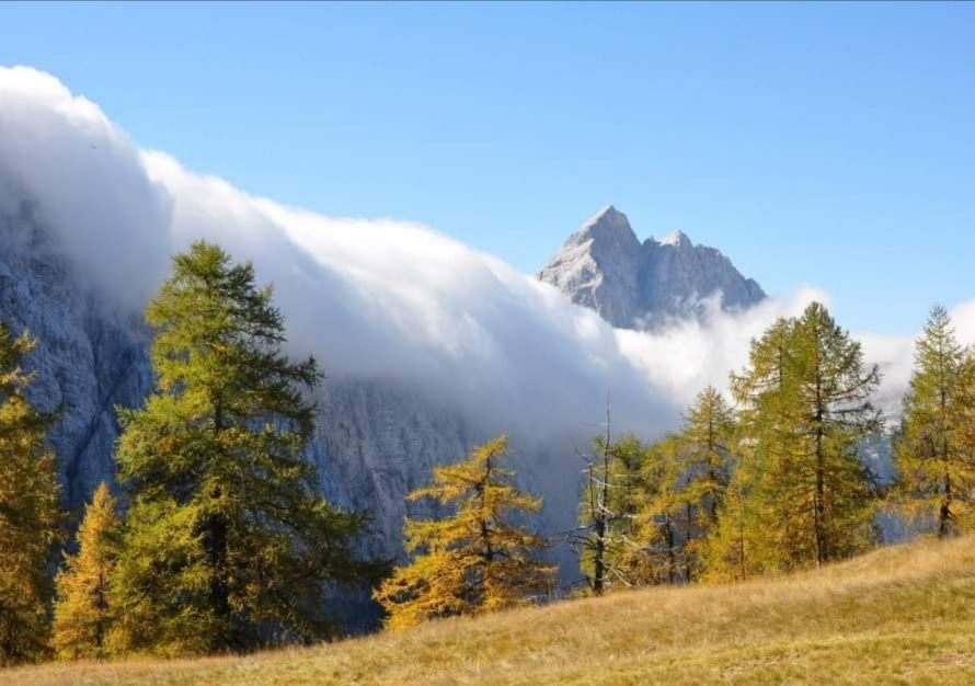 Exploring Slovenia's avatar