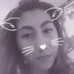 stay woke's avatar