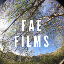 FAE FILMS