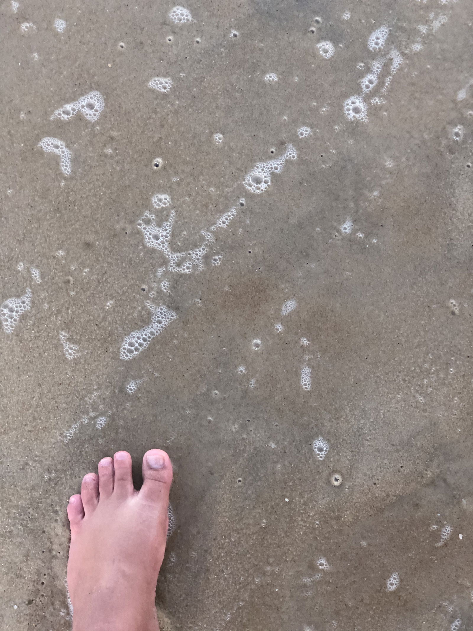🦶🏻🦶🏻 Fat Bare Feet 🦶🏻🦶🏻's avatar