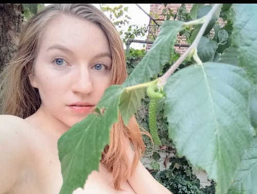 Fawn Wilde's avatar