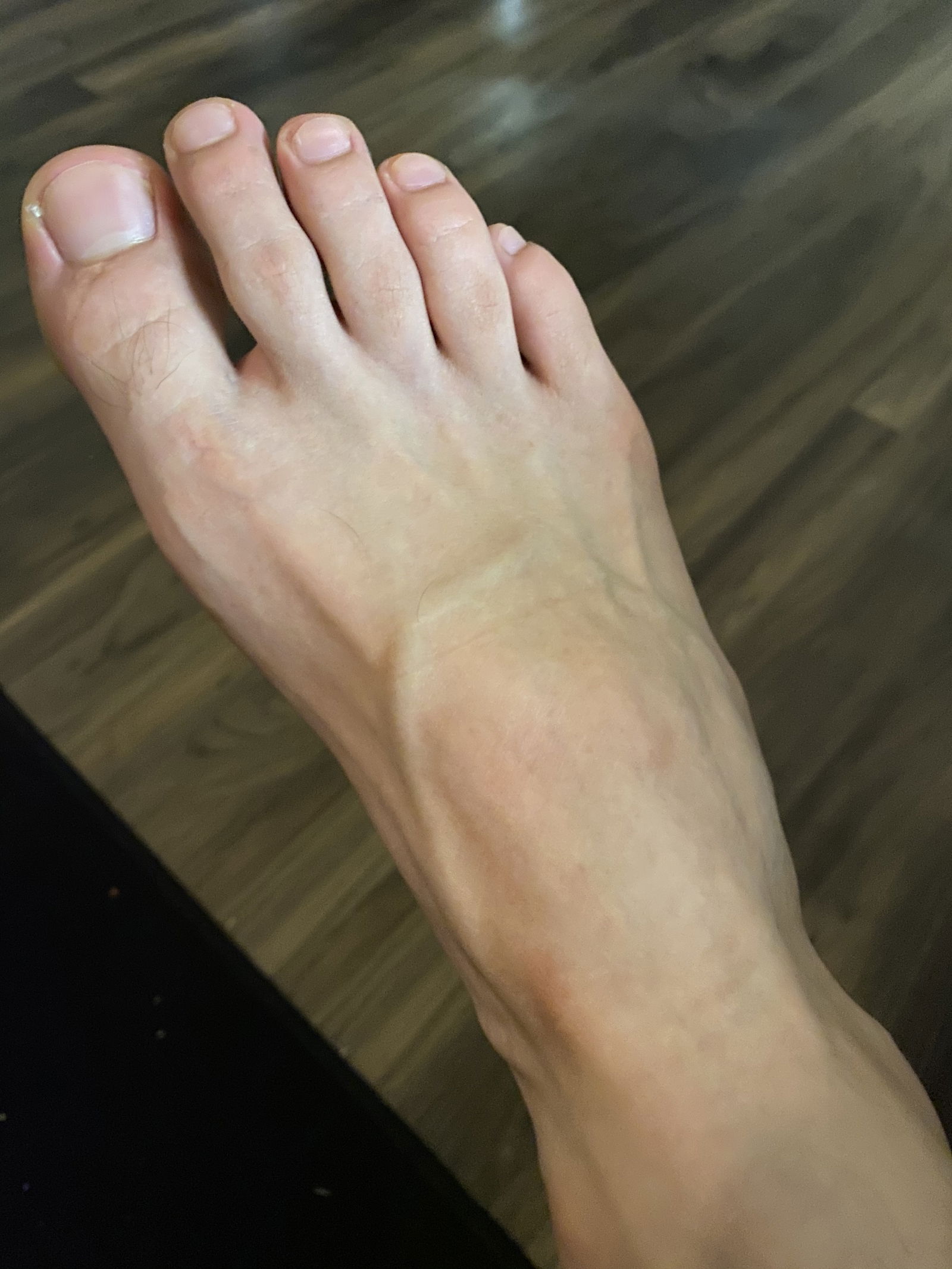 Rudy’s feet's avatar