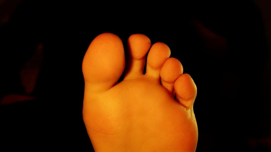 Feets Experience's avatar