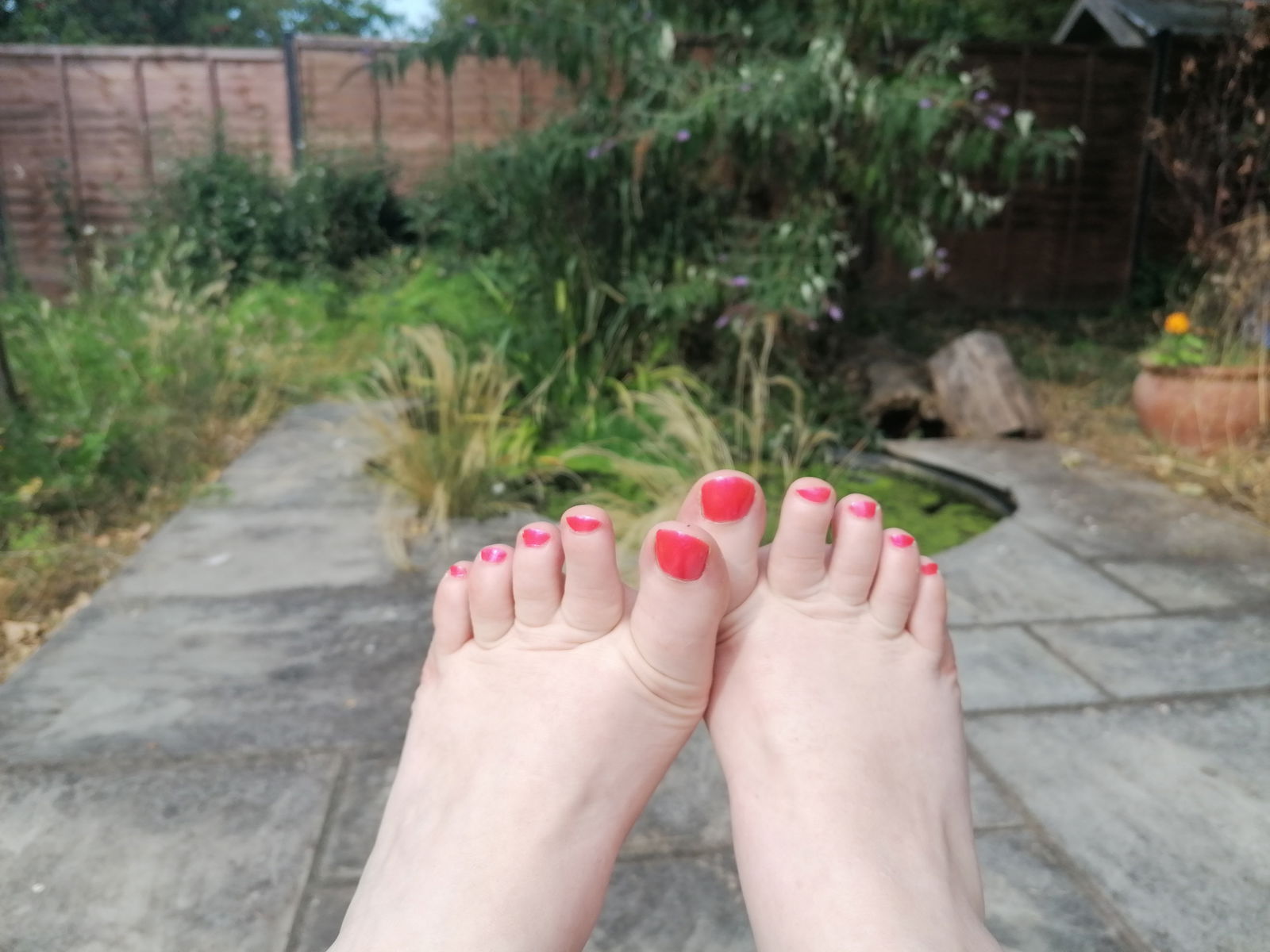 Feetures and Photoes's avatar