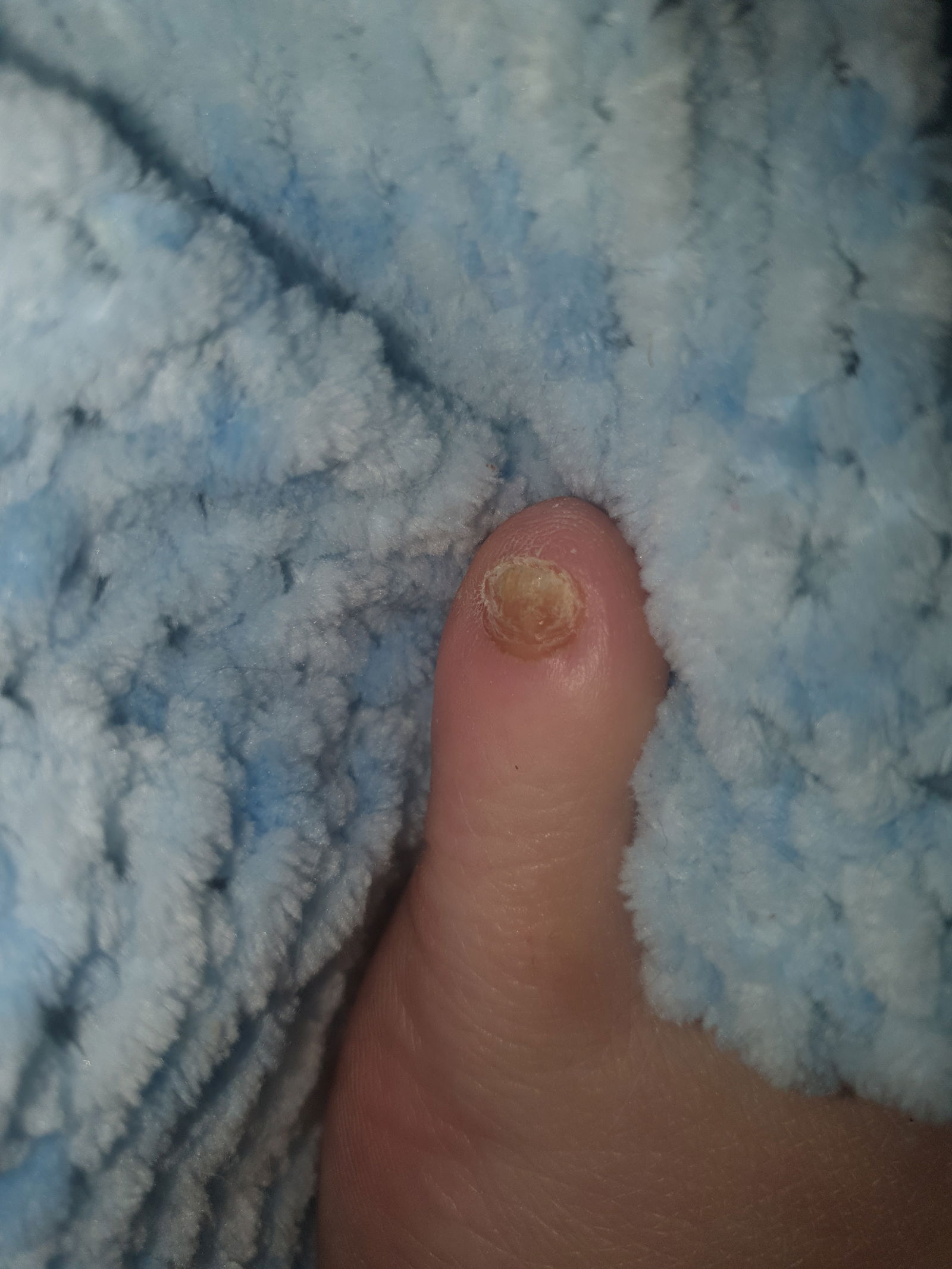 Felicity feetdal's avatar