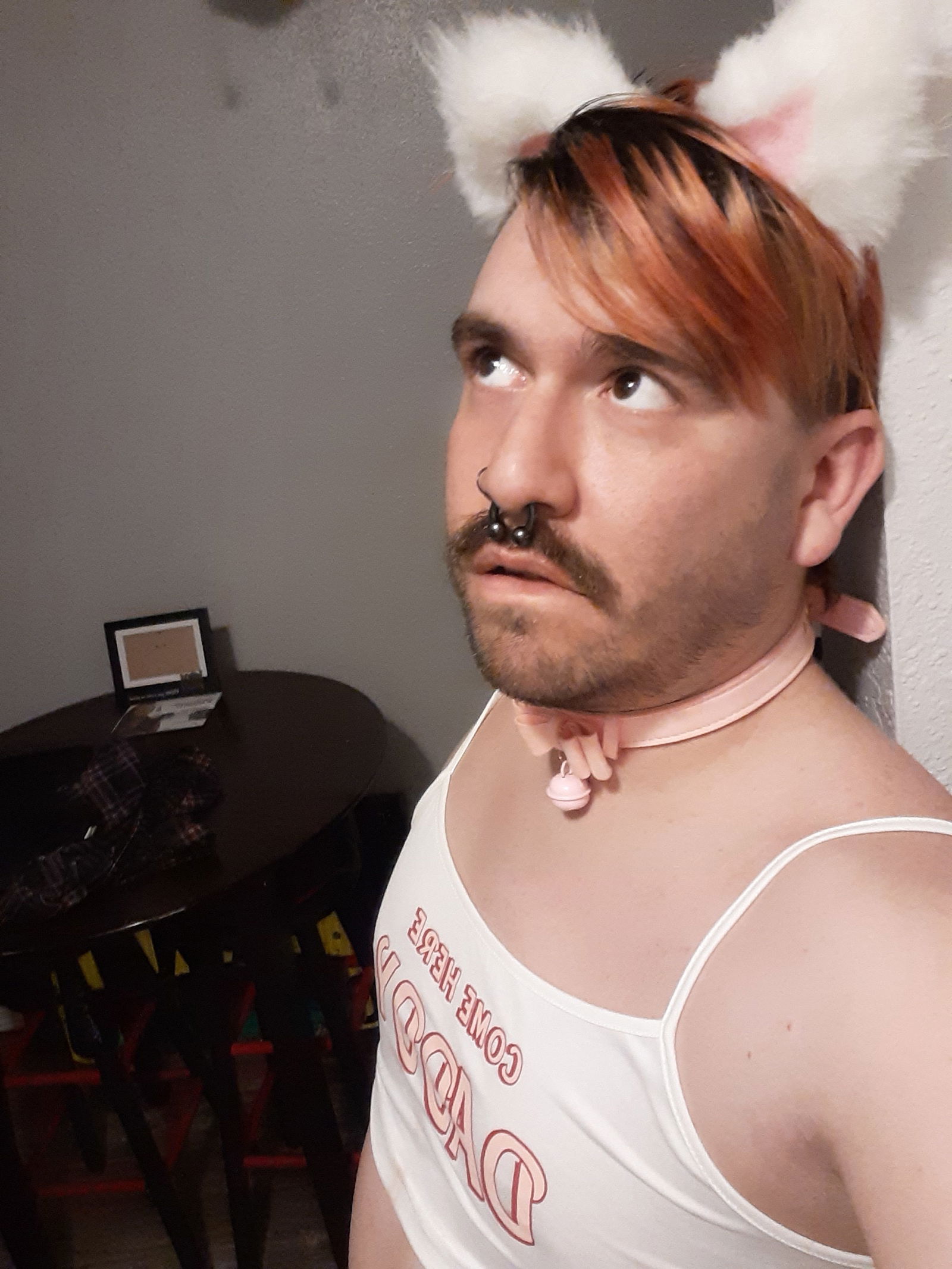 Spiky Catboi's avatar