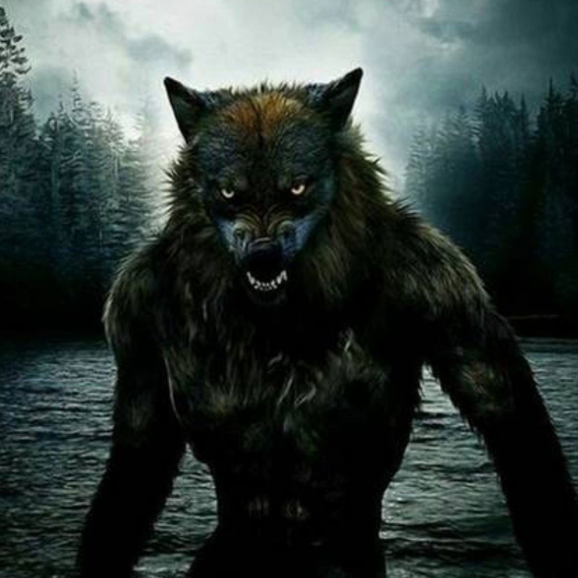 Fenrir's avatar