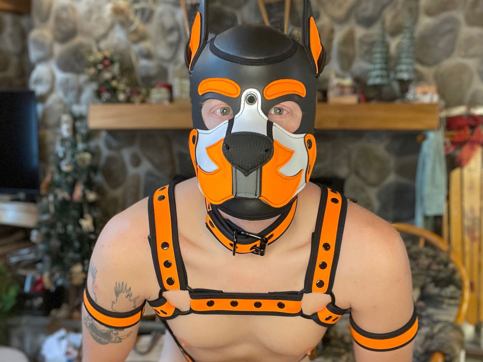 Gingerloven's avatar