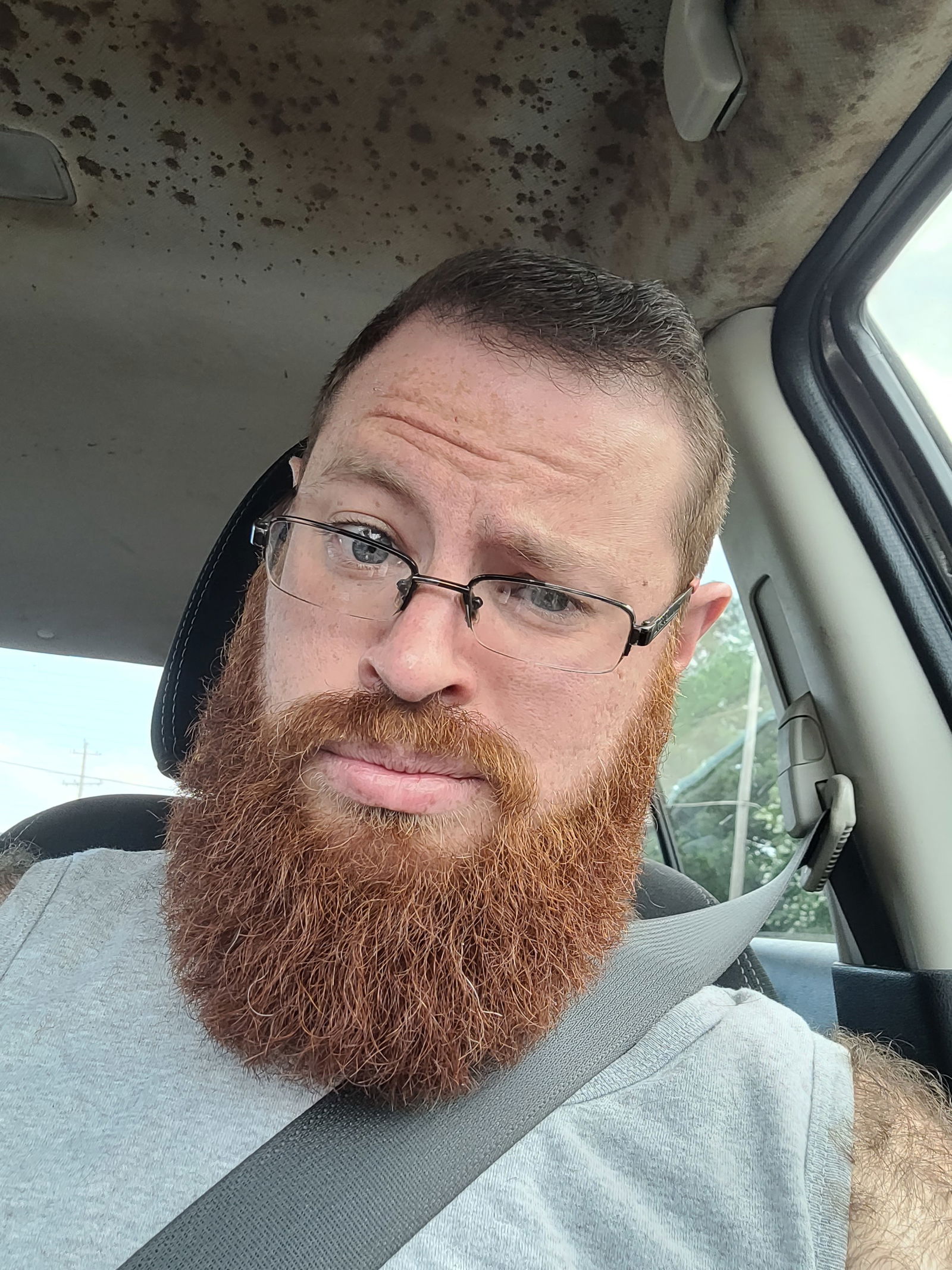 Firebeard FTM's avatar