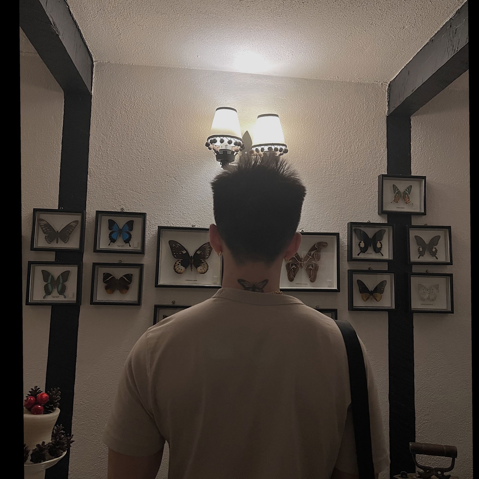 Butterfly boy 🦋's avatar